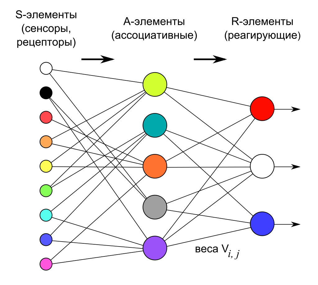 Логическая схема персептрона с тремя выходами